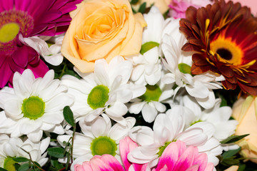 Group of colorful flowers with bright petals and leaves as bouquet. Floral decorations for parties,...