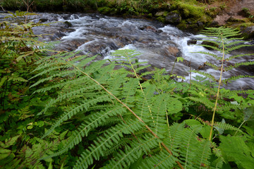 beautiful landscape in northern Styria, Austria