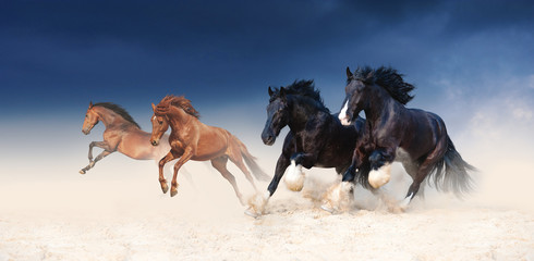 A herd of black and red horses galloping in the sand against the background of a stormy sky. Four stallions in the desert