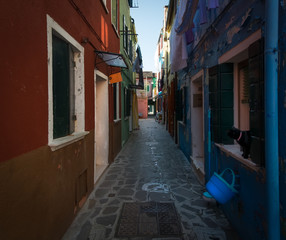 Morning on the island of Burano. Cat in the window. The streets of the old city of Venice. Bright sun. The beauty of the ancient city. Italy.