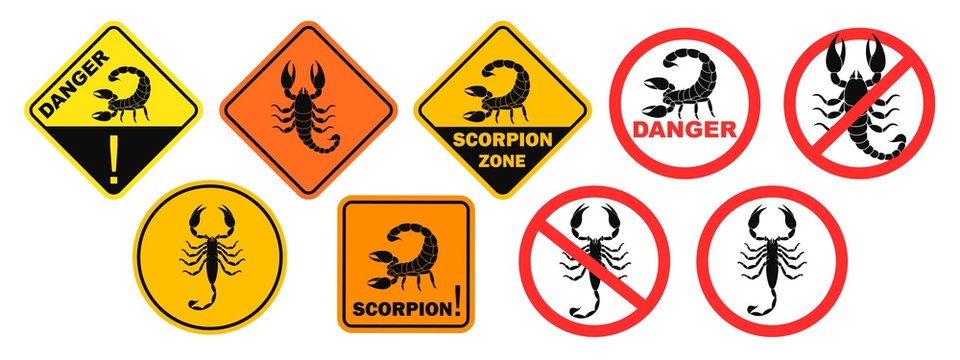 Scorpion danger sign. Isolated scorpion on white background