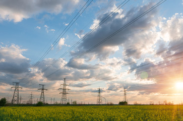 Power lines and high-voltage lines against the backdrop of blooming oilseed rape on a summer day.