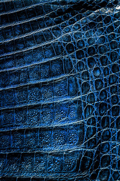 Snake skin pattern texture. Reptile leather. Python leather background. 
