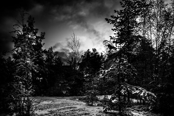 First Snow Helsinki 2019 Pic 3