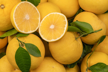 Fresh lemons and grapefruits