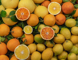 Whole fresh citrus fruits with green leaves lemons, grapefruits, oranges and its slices (halves) on the top 