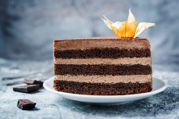 Chocolate cake with chocolate cream filling decorated with physalis