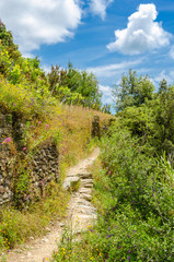Fototapeta na wymiar Fragment of Monterosso - Vernazza trail in Italy.