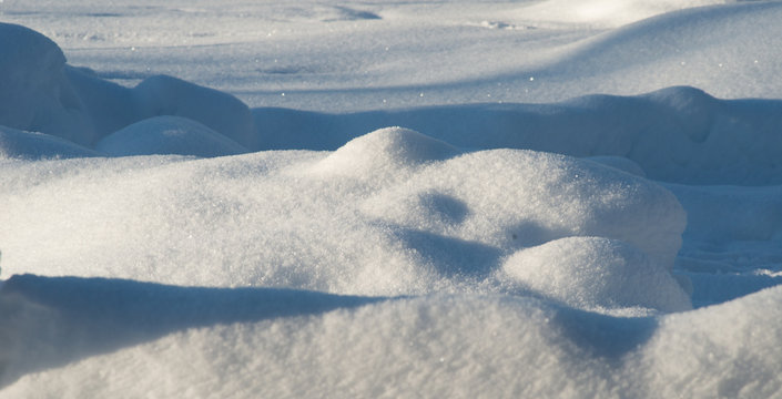 Snowscape At Minus 15 C In Northern Canada