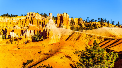 Hiking at Sunrise on the Navajo Trail among the vermilion colored Hoodoos in Bryce Canyon National...