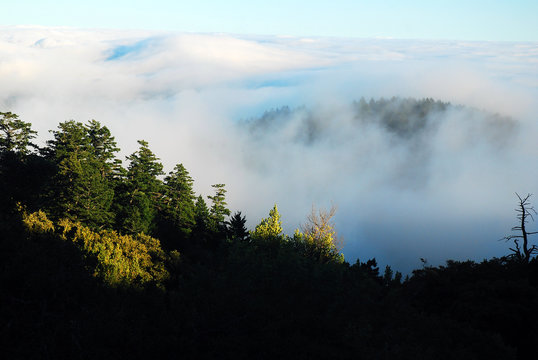 Fog lingers in a mountain valley in Marin County, California