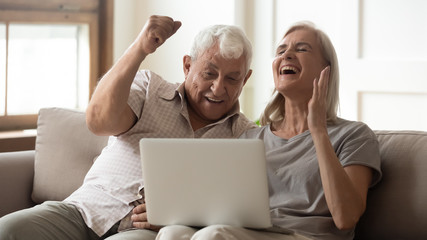 Overjoyed senior couple triumph with online news on laptop