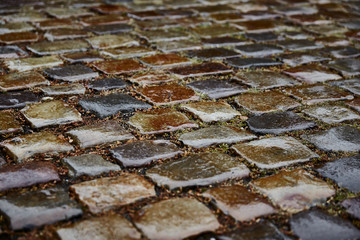 Original Medieval Paving Stone Closeup