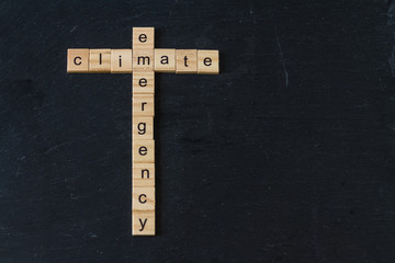 Climate Emergency crossed in wood letter blocks.