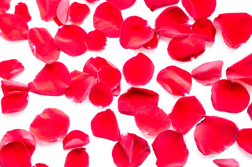 Background of red rose petals