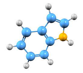 Obraz premium 3D image of indole skeletal formula - molecular chemical structure of benzopyrrole or ketole isolated on white background,