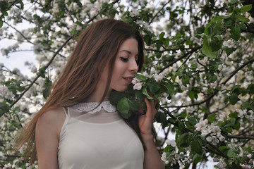 Close-up portrait of a girl with long hair among the branches of a blossoming apple tree