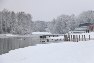 Obraz premium Augsburg, Bayern / Germany - February 15 2019: Kuhsee frozen with trees covered in snow