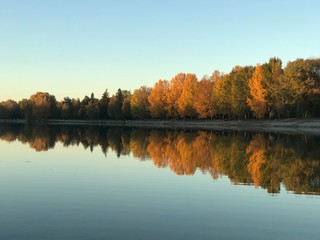 Tree reflection on the water in the autumn. Kuhsee lake in Augsburg, Bayern, Germany.