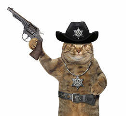 The beige cat policeman is wearing in a black cowboy hat, a police badge around his neck and a...
