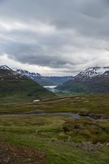 Scene from the Westfyords in Iceland