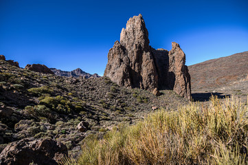 Fototapeta na wymiar volcano Teide and desert landscape in National Park. Tenerife, Canary Islands