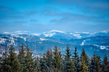 Beautiful winter mountain landscape in the south of Poland - the sun, a lot of snow, blue sky and old forest