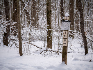 Directions sign (map) on winter hiking trail in forest covered with snow
