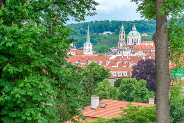 Top view to red roofs and green trees skyline of Prague city Czech republic.