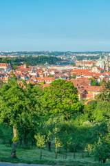 Fototapeta na wymiar Top view to red roofs and green trees skyline of Prague city Czech republic.