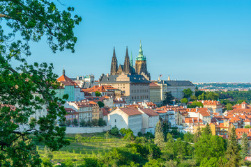 Naklejka premium Top view to red roofs and green trees skyline of Prague city Czech republic.