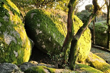 Obraz premium Leafy forest with colossal rock formations in Sanctuary of Penha in Guimaraes