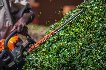 Fototapete Rund Close up shot of a landscape worker using a hedge trimmer to prune a holly bush © William J. Adams