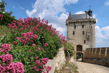 Châteaux de la Loire, forteresse royale de Chinon, vue sur la tour de l'Horloge avec des fleurs...
