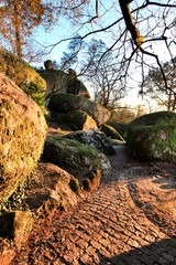 Leafy forest with colossal rock formations in Sanctuary of Penha in Guimaraes