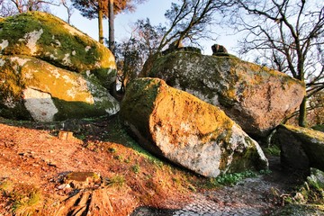 Leafy forest in with colossal rock formations in Sanctuary of Penha in Guimaraes