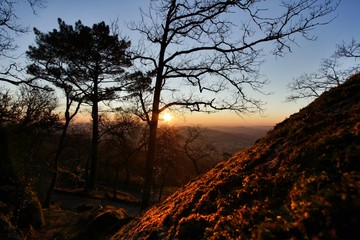 Sunset in leafy forest with colossal rock formations in Sanctuary of Penha in Guimaraes