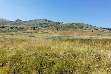 Fototapeta premium Amazing Autumn landscape of Vitosha Mountain, Sofia City Region, Bulgaria