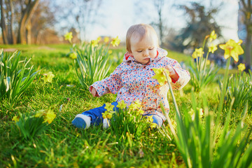 One year old girl sitting on the grass with yellow narcissi