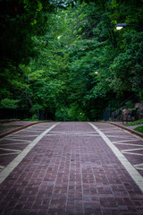 Grand Promenade Stretches Over Hill