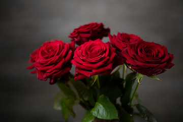 Red roses bunch on the moody background