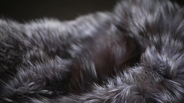 Real silver fox Fur background. Gray with black Fur clothes texture closeup. Soft and fluffy grey macro shot. Fluffy Texture surface Rotation. Backdrop. Slow motion. 4K UHD video