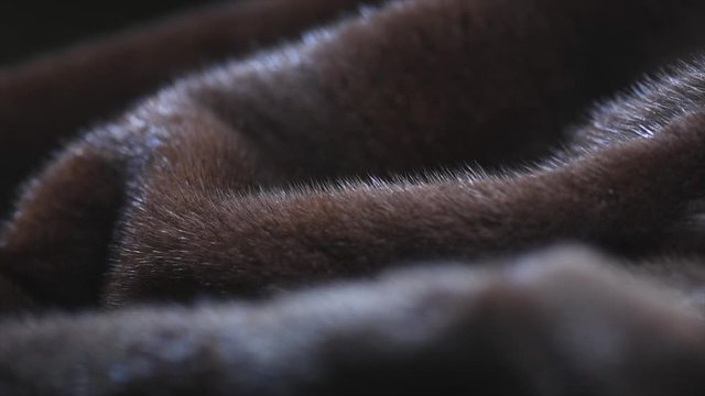 Mink Fur background. High quality Canadian black Fur clothes texture closeup. Soft and fluffy dark brown mink Texture surface Rotation. Slow motion. Macro shot. 4K UHD video