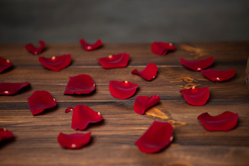 Fresh Red roses petals on the moody wooden background