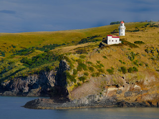 Presqu'ile d'Otago (Nouvelle Zélande