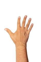 Hand showing five fingers. Hand wrist with number 5