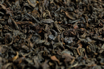 Dry black bunny close up. background.