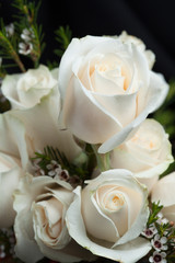 Perfect White Roses Flower Bouquet in Bloom