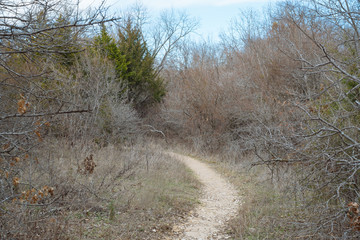 A dirt track in a Texas city park on a sunny February day.