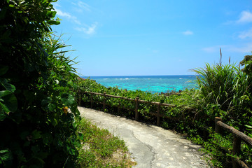 Fototapeta premium 沖縄 宮古島の海